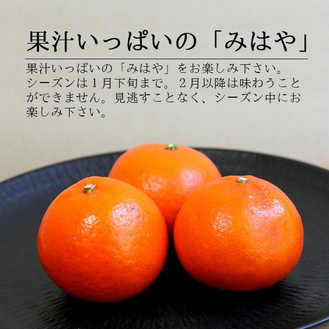 みはや(和歌山産)5Kgのお取り寄せ販売(通販)送料無料でお届け みはや(和歌山産)5Kgのお取り寄せ販売(通販)送料無料でお届け