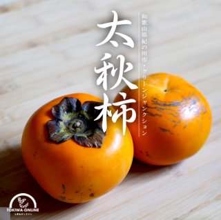 太秋柿 5kg