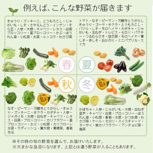 【2024A/W新作★送料無料】 どでかピーマン小苗×3 他の苗と交換可能 無農薬 なじみ 果菜