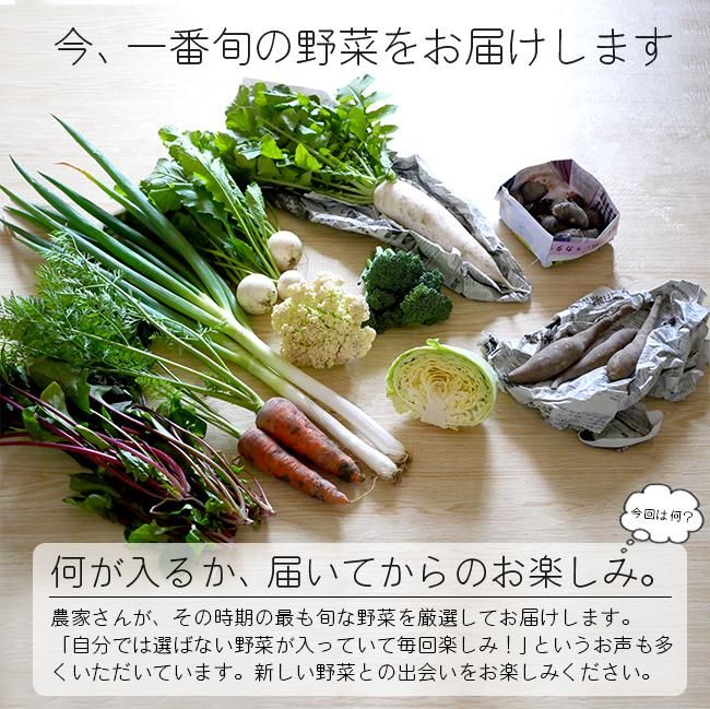 楽天市場】木製お野菜の通販