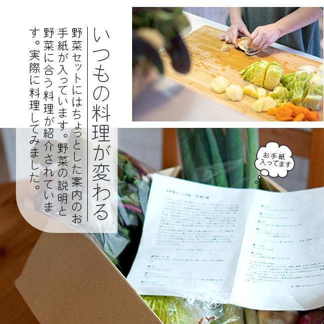 無農薬 野菜セットのお取り寄せ販売(通販)- 《公式》ときわ 無農薬 野菜セットのお取り寄せ販売(通販)- 《公式》ときわ