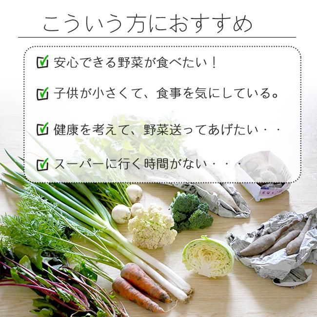 無農薬 野菜セットのお取り寄せ販売（通販）- 《公式》ときわ
