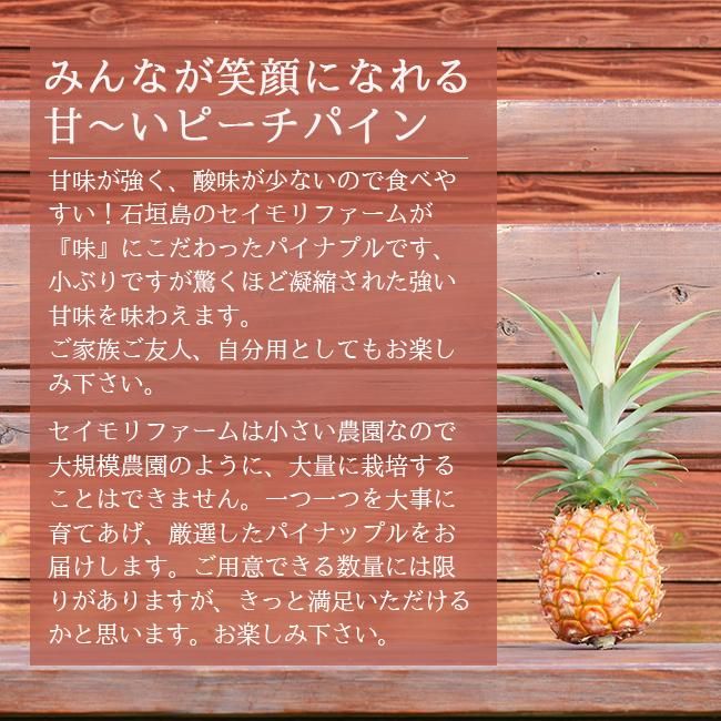 国産パイナップルのお取り寄せ販売(通販)お中元などの贈答用 国産パイナップルのお取り寄せ販売(通販)お中元などの贈答用