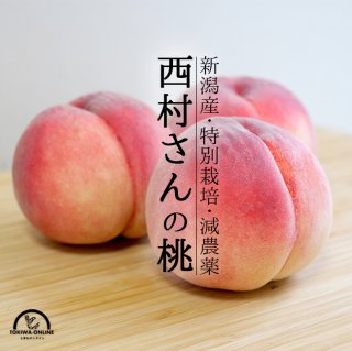 新潟の桃 5kg 西村果樹ガーデン