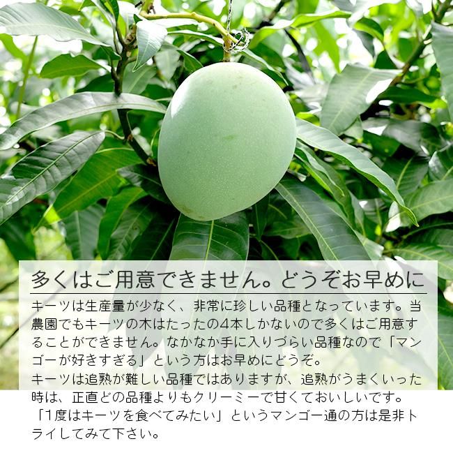 キーツマンゴー 幻のマンゴーと言われてる希少なマンゴー品種