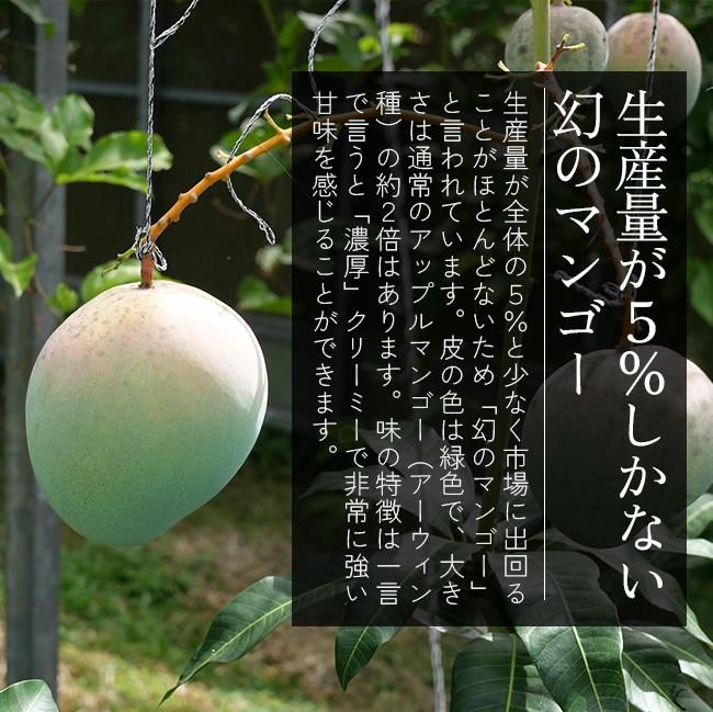 キーツマンゴー 幻のマンゴーと言われてる希少なマンゴー品種
