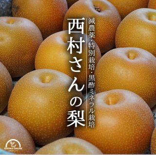 梨 5kg( 新高 豊水 新興 幸水) 減農薬 特別栽培 新潟 西村果樹ガーデン