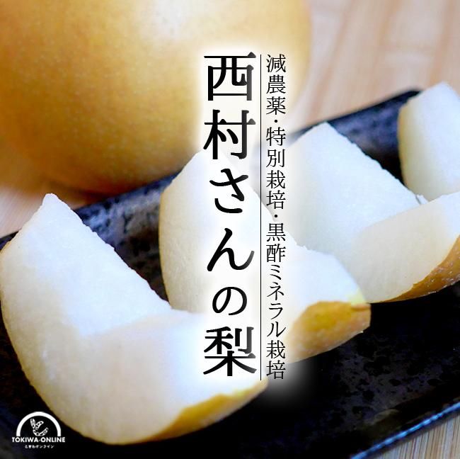【熊本県産】幸水梨 梨 ナシ 家庭用 バラ詰め 訳アリ品 約20kg 熊本県産】幸水梨 梨 ナシ 家庭用 バラ詰め 訳アリ品 約20kg