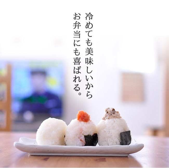 従来コシヒカリのお取り寄せ販売（通販） 新鮮 農家直送（産地直送）