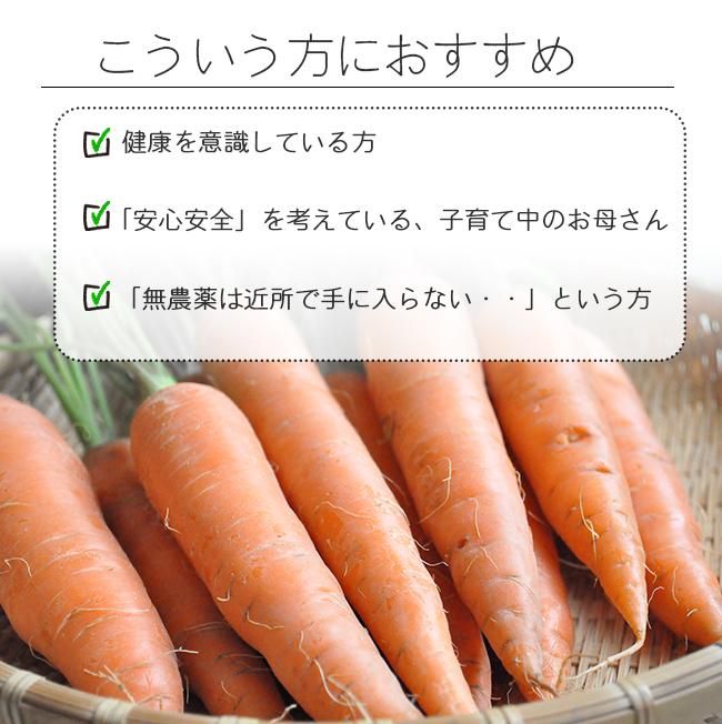無農薬 にんじんのお取り寄せ販売(通販)- 《公式》ときわ 無農薬 にんじんのお取り寄せ販売(通販)- 《公式》ときわ