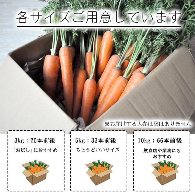 無農薬 にんじんのお取り寄せ販売(通販)- 《公式》ときわ 無農薬 にんじんのお取り寄せ販売(通販)- 《公式》ときわ