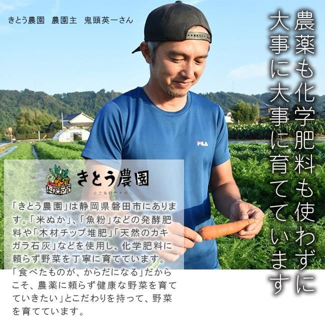 お値下げ中！！すもも 10kg 鹿児島産 無農薬 すもも 鹿児島産 無農薬 すー様専用鹿児島産すもも10キロ