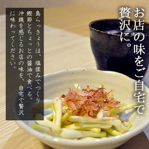 島らっきょう(沖縄産)のお取り寄せ販売(通販)送料無料でお届け 島らっきょう(沖縄産)のお取り寄せ販売(通販)送料無料でお届け