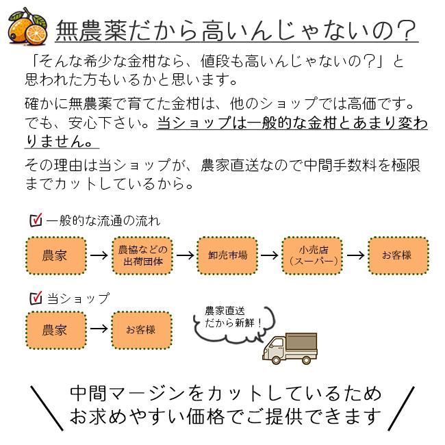 金柑　無農薬　次回出荷までお待ちください！ 安心安全の無農薬で育った金柑の通販 、甘露煮、はちみつ漬け