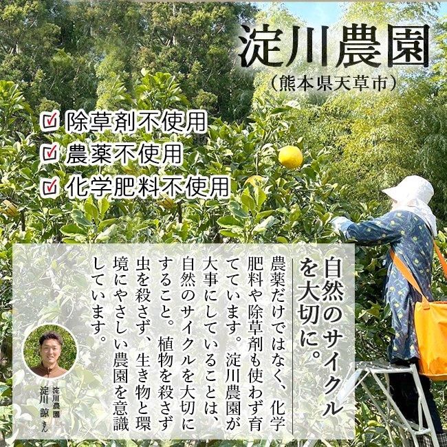 安心安全の無農薬で育ったパール柑の通販 、農家直送、淀川農園 安心安全の無農薬で育ったパール柑の通販 、農家直送、淀川農園