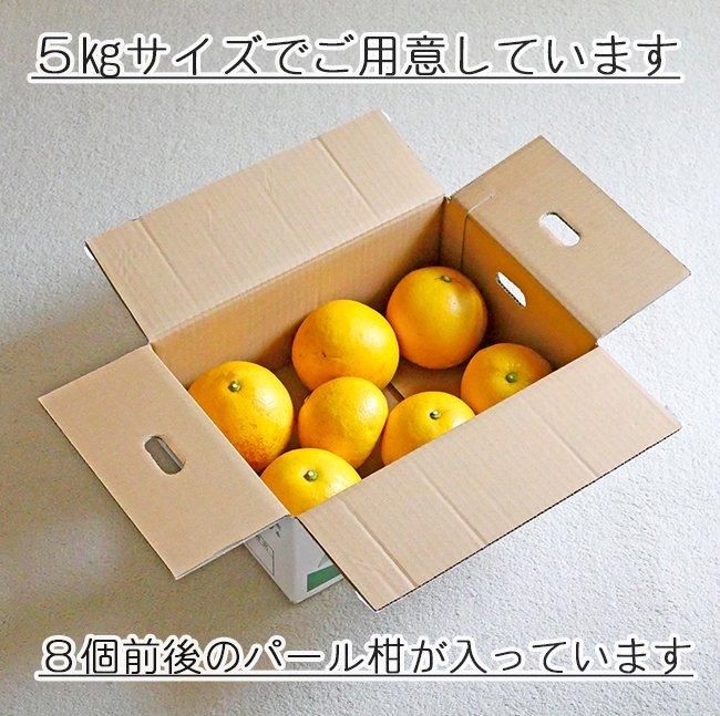 安心安全の無農薬で育ったパール柑の通販 、農家直送、淀川農園 安心安全の無農薬で育ったパール柑の通販 、農家直送、淀川農園