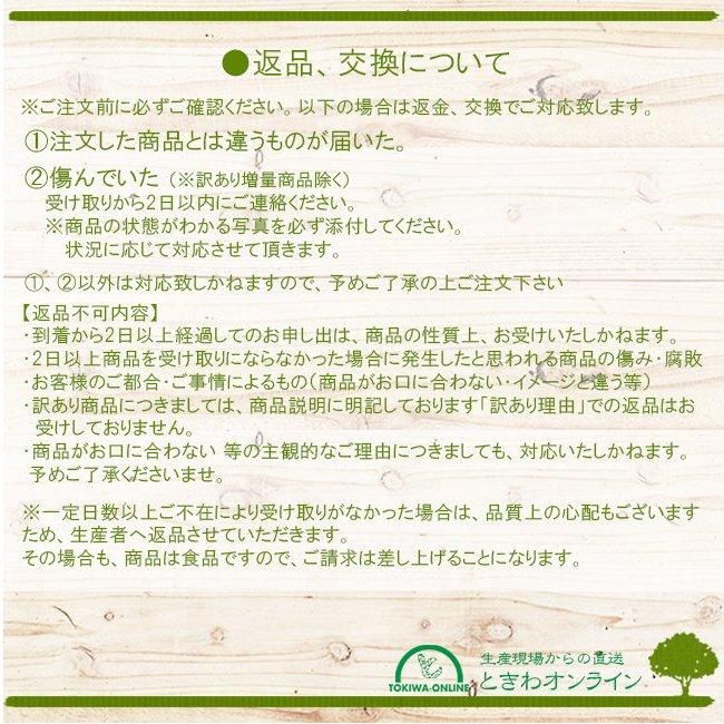 安心安全の無農薬で育ったパール柑の通販 、農家直送、淀川農園