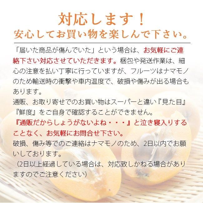 びわ 長崎 無農薬 送料無料 1kg Lサイズ 無農薬 長崎産 果物