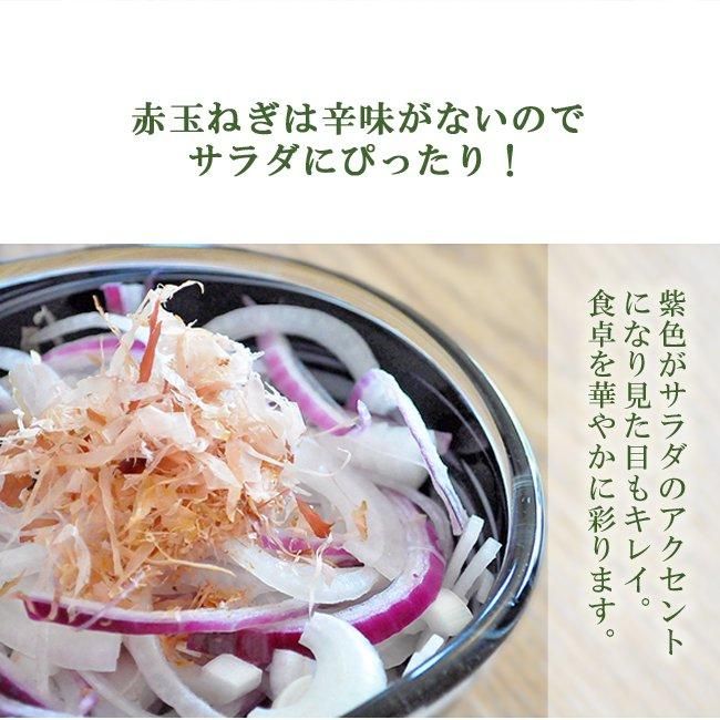 【専用】無肥料 無農薬 秀さんのたまねぎ＆無肥料 無農薬 さつま芋 など９品 さつまいも商品一覧 | 無添加・無農薬の食品ネット通販 - たべる