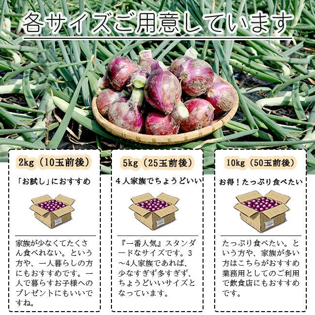 玉ねぎ 赤たまねぎ 無農薬（家庭用）20Kgのお取り寄せ販売（通販）送料無料でお届け