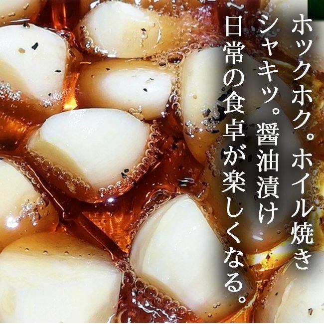 にんにく 長崎 無農薬 送料無料 ジャンボ 無農薬 長崎産 野菜 にんにく 長崎 無農薬 送料無料 ジャンボ 無農薬 長崎産 野菜