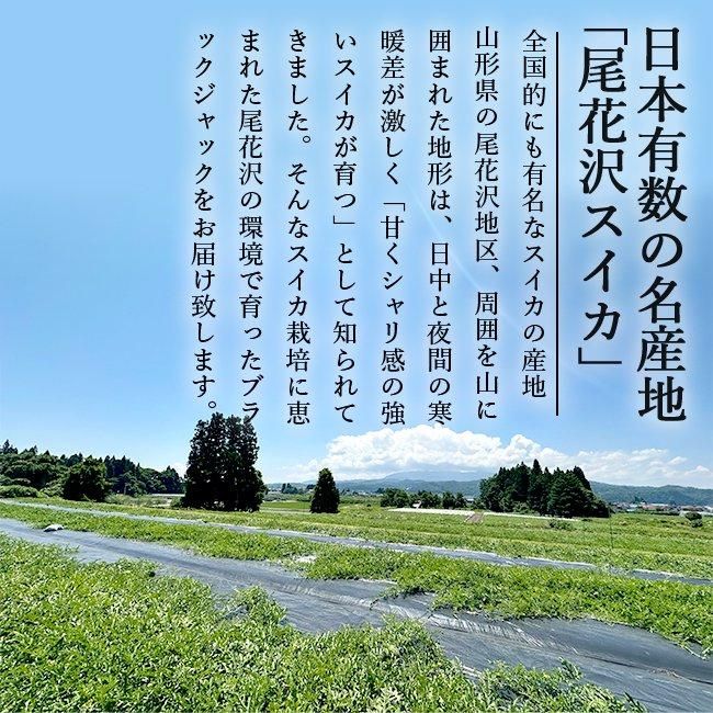 尾花沢スイカ | 種なしブラックジャック 3L 7kg 山形むらかみ