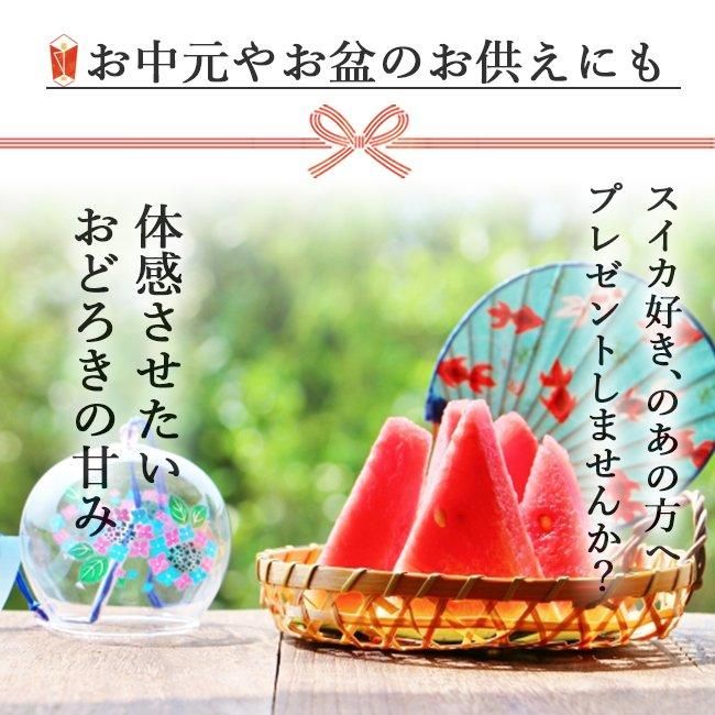 尾花沢スイカ | 金色羅皇 4L 8kg 山形むらかみ農園 - 《公式 尾花沢スイカ | 金色羅皇 4L 8kg 山形むらかみ農園 - 《公式