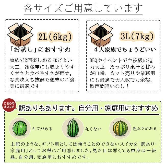 尾花沢スイカ | 金色羅皇 4L 8kg 山形むらかみ農園 - 《公式