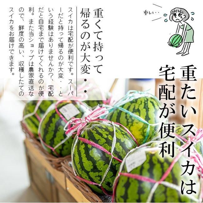 尾花沢スイカ | 金色羅皇 4L 8kg 山形むらかみ農園 - 《公式