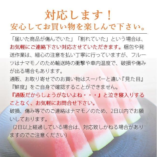 尾花沢スイカ 訳あり | 種なしブラックジャック 3L 7kg 山形 尾花沢スイカ 訳あり | 種なしブラックジャック 3L 7kg 山形