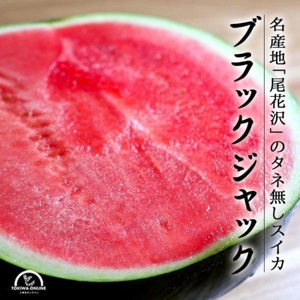   ʤ ֥åå  3L 7kg  餫