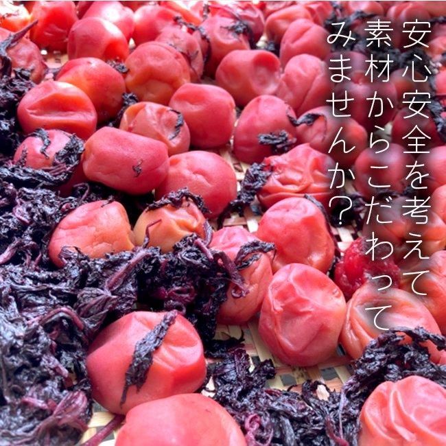 長年無農薬栽培　赤紫蘇の葉茎付き　ネコポス一杯 c733e3cfc19b07e72b167c03cd0a2a