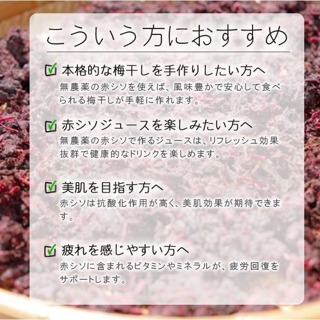 穂紫蘇６００本以上 @60サイズ箱いっぱい!!、農薬不使用 シソの実】60サイズの箱いっぱい、農薬不使用 - メルカリ