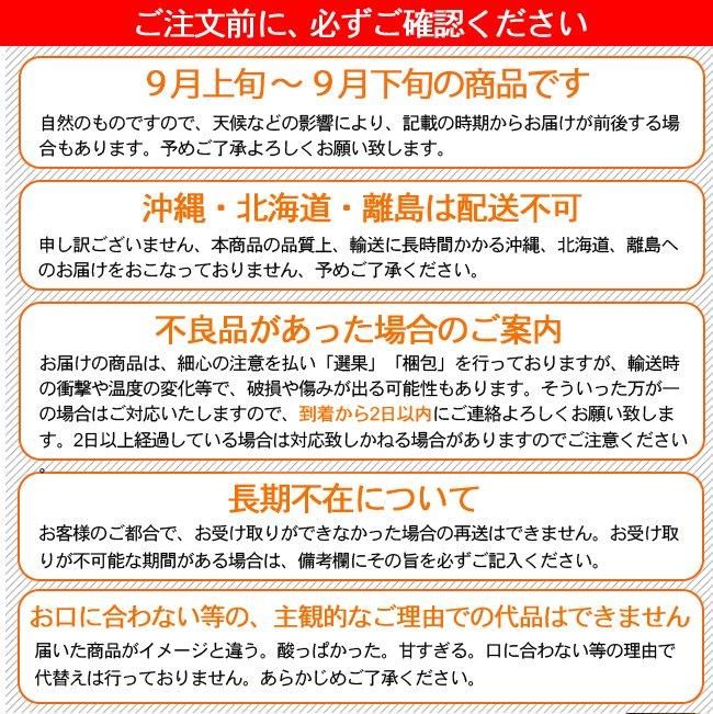 サンシャインレッド　5房　訳ありお買い得 楽天市場】サンシャインレッド 訳あり 1kg 2~4房 家庭用 山梨