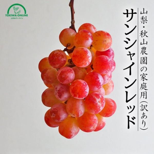 󥷥㥤å 1kg  