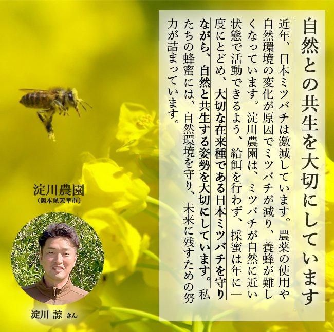 天然国産ハチミツ 希少な日本ミツバチが集めた 非加熱の純粋な 天然国産ハチミツ 希少な日本ミツバチが集めた 非加熱の純粋な