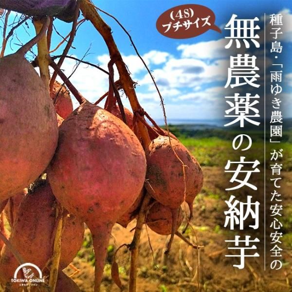 ̵ ץǼ Ǽ 5Kg 4s  椭