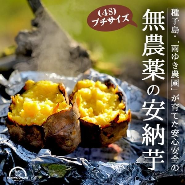 ̵ ץǼ Ǽ 5Kg 4s  椭