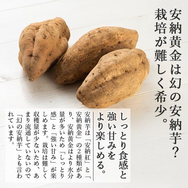 さつまいも　安納芋　こがね17キロ　残り僅か さつまいも 安納芋 こがね 17キロ 残り僅か
