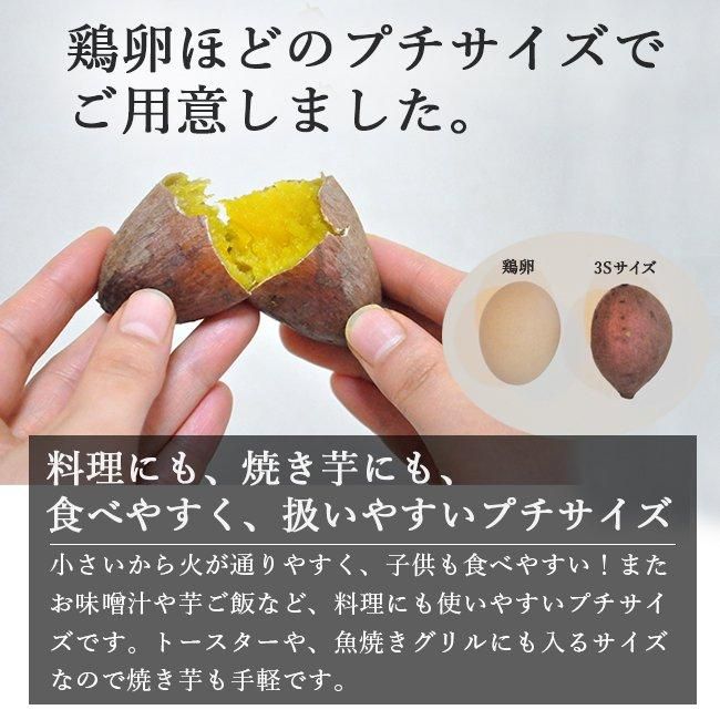 無農薬 安納芋 5kg 種子島 3S 送料無料 安納黄金 蜜芋 鹿児島