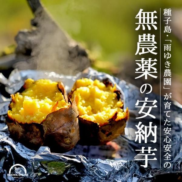 Ǽ Ǽ 5Kg 2s〜L  椭