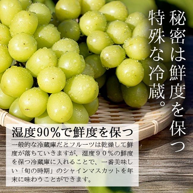 シャインマスカットのお取り寄せ販売（通販）ギフトにおすすめ