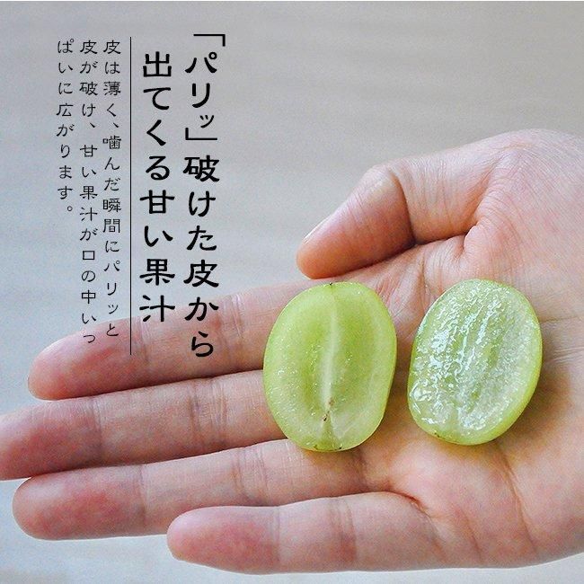 シャインマスカットのお取り寄せ販売（通販）ギフトにおすすめ