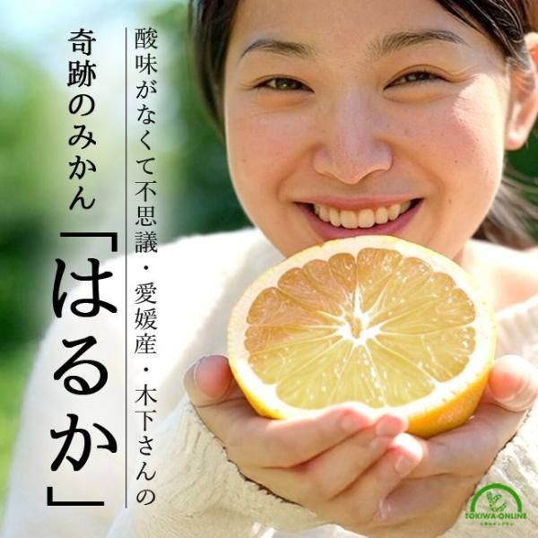 Ϥ뤫 ߤ 5kg ɲ ͽ ڲ