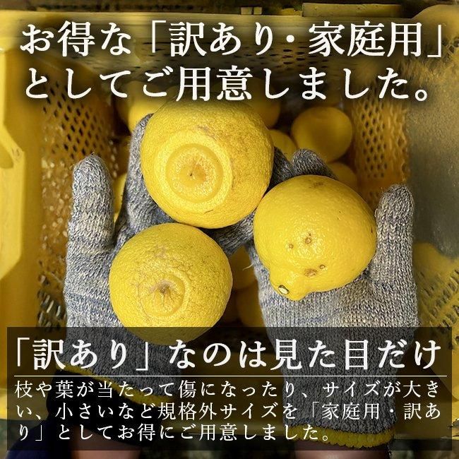 愛媛県産はるか10キロ 訳あり・ご家庭用 皮はジャムにできます