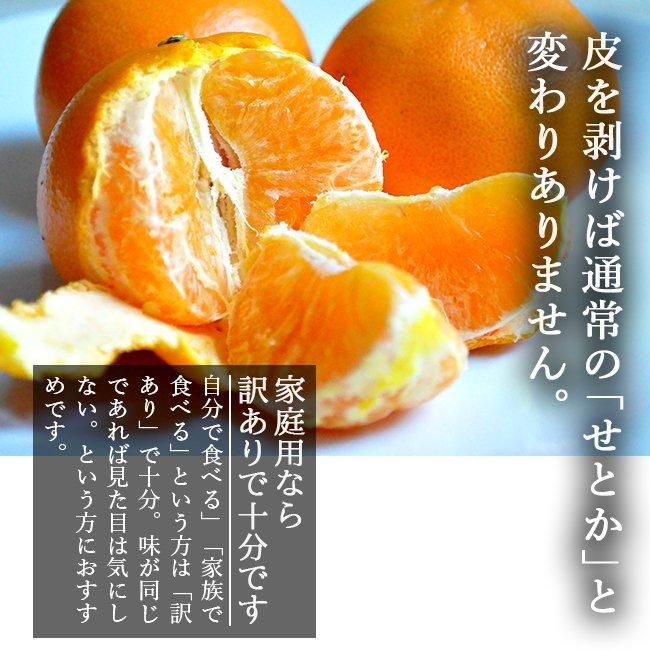 せとか 訳あり 減農薬 (愛媛産)のお取り寄せ販売(通販)送料 せとか 訳あり 減農薬 (愛媛産)のお取り寄せ販売(通販)送料