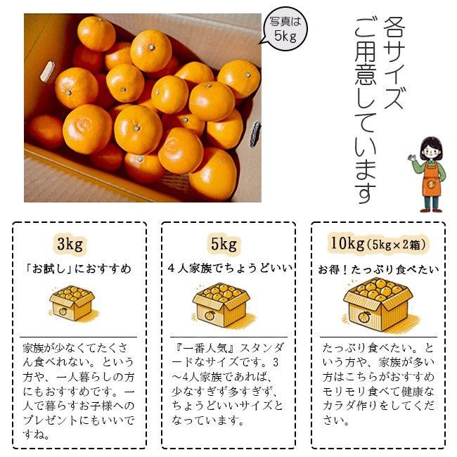 せとか 訳あり 減農薬 (愛媛産)のお取り寄せ販売(通販)送料 せとか 訳あり 減農薬 (愛媛産)のお取り寄せ販売(通販)送料