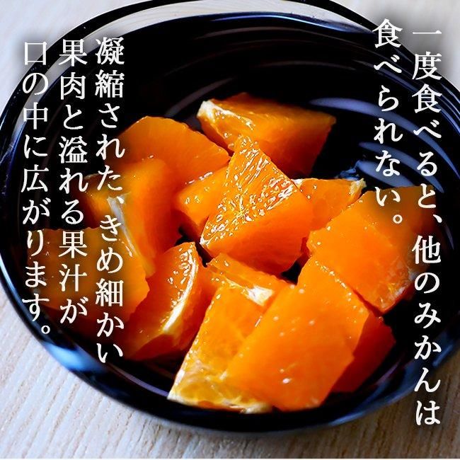 せとか 訳あり 減農薬 （愛媛産）のお取り寄せ販売（通販）送料