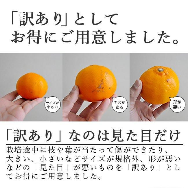せとか 訳あり 減農薬 (愛媛産)のお取り寄せ販売(通販)送料 せとか 訳あり 減農薬 (愛媛産)のお取り寄せ販売(通販)送料