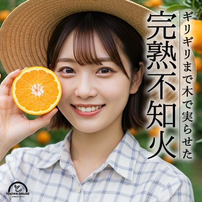 瀬戸農地に欲しいもの注文 レビュー - 《公式》ときわオンライン 農家直送フルーツショップ